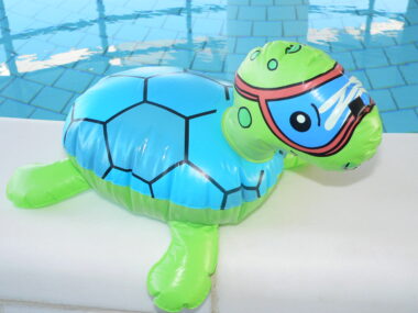 /data/vhosts/eccos/course_manager/tmp/upload/php6tXjxR