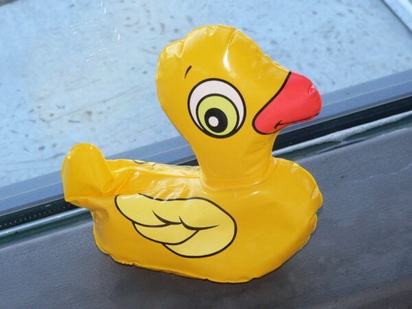 /data/vhosts/eccos/course_manager/tmp/upload/phpXGvLQv